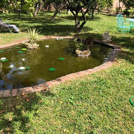 La Casita Del Cactus - Con Piscina *