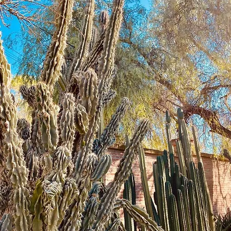 Apartmán La Casita Del Cactus - Con Piscina