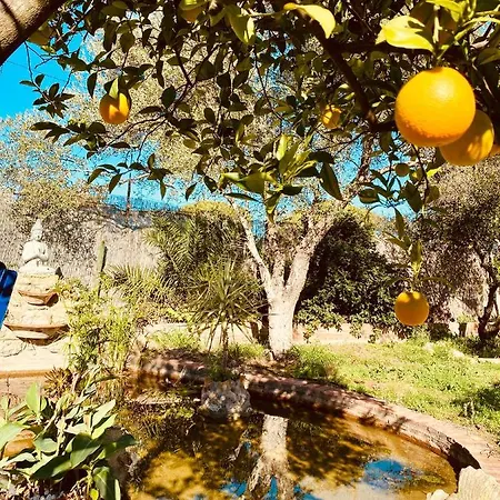 Apartmán La Casita Del Cactus - Con Piscina Alcalá de Guadaira